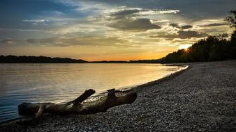 Beautiful coast of Danube River, with the wood, at colorful and beautiful sunset