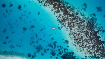 High Angle Shot of Beach Boat