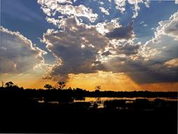 Beautiful landscape with silhouettes of the plants, at colorful and beautiful sunset with clouds, in the evening