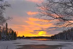 Sunset Winter Tree