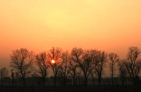 Beautiful landscape with silhouettes of the trees, in fog, at colorful and beautiful, gradient sunset