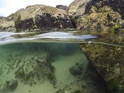 Diving Beach Mar
