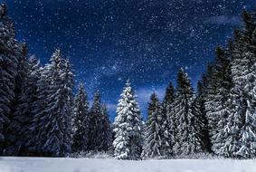 Snow Nature at Night