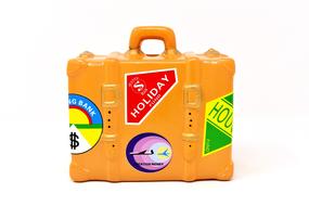 Luggage Travel Vacations toy