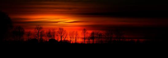 Tree at dark orange Sunset
