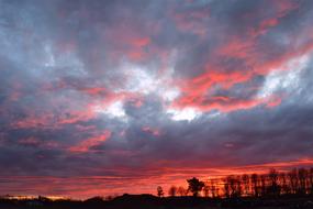 colorful winter sky above trees at dusk