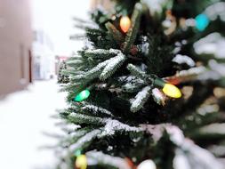 Christmas Tree Lights in the snow in a blurry background