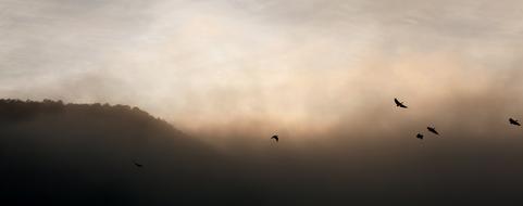 Sky Sunset Fog