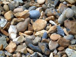 Pebbles on Beach Nature