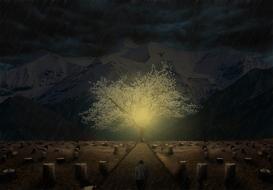 Landscape of fantasy tree at Mountain Nature