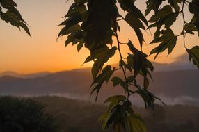 Sunset Mountain Branch