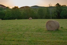 Landscape of Field Hills nature