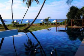 Beautiful landscape with the pool, among the colorful plants on the beach in Sri Lanka