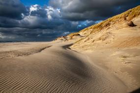 Beach Dunes Sand