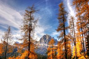 colorful autumn in the dolomites