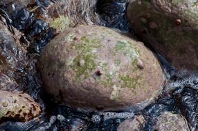 sea water among large stones close-up