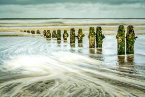 green breakwaters on sandsend beach, UK