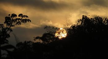 Beautiful view of the sunset, behind the silhouettes of the trees, under the clouds, in Armenia