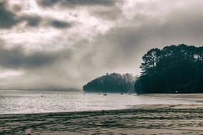 fog sea