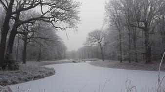 Beautiful, black and white landscape of the snowy water among the plants, in the winter