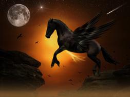 Pegasus white Moon