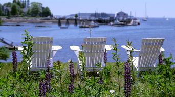 White Adirondack chairs on the Boothbay Harbor in USA, with colorful plants