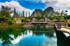 a bridge over a lake in a park in thailand