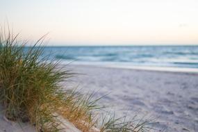 Beach and Sea Water