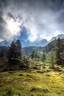 Forest near Mountains, italy, south tyrol