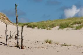 Dune Sand Dunes