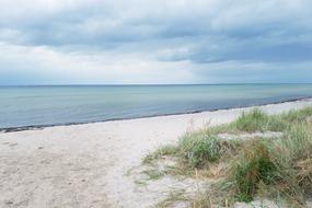 Baltic Sea sand Beach nature