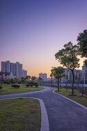 Buildings and park in city