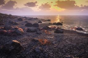 Beautiful landscape of the coastline of ocean, on the island, with rocks, at colorful and beautiful sunset