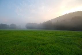 Panorama view of foggy Grass Nature