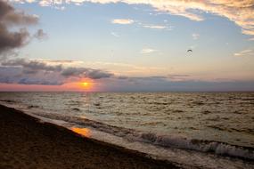 Sea Beach Summer