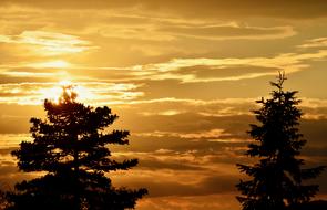 Sunset Sky Evening trees