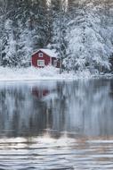 Beautiful, snowy landscape with the cottage on the river shore with plants, in the winter