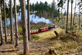 old Steam Locomotive In The Resin