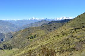Beautiful landscape of the Huari mountains with colorful plants, in snow, at blue sky on background
