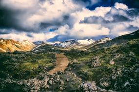 mountains with green plants in iceland