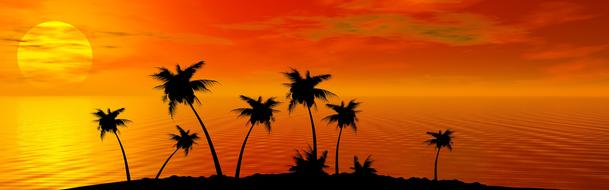 tropical summer beach at sunset