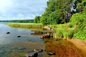 Nature Transparent Water