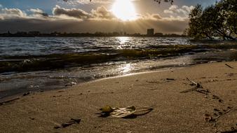 Elbe Evening Water