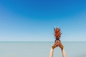 pineapple in hands on the background of the sea