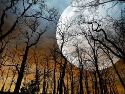 moon trees sky clouds autumn full