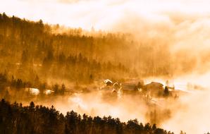 Slovenia forest Sunrise