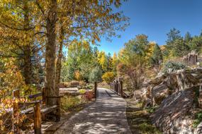 Vail Colorado Foliage