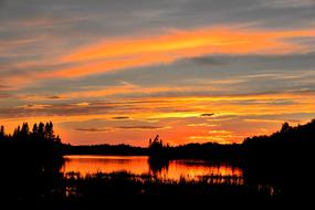 twilight over dark silhouettes of nature in canada