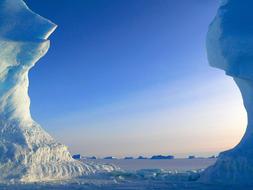 icebergs in the wild in Antarctica