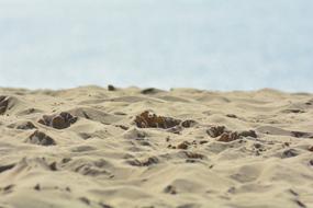 Sable Plage sand Dune
